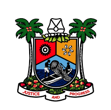 LAGOS GOVERNMENT