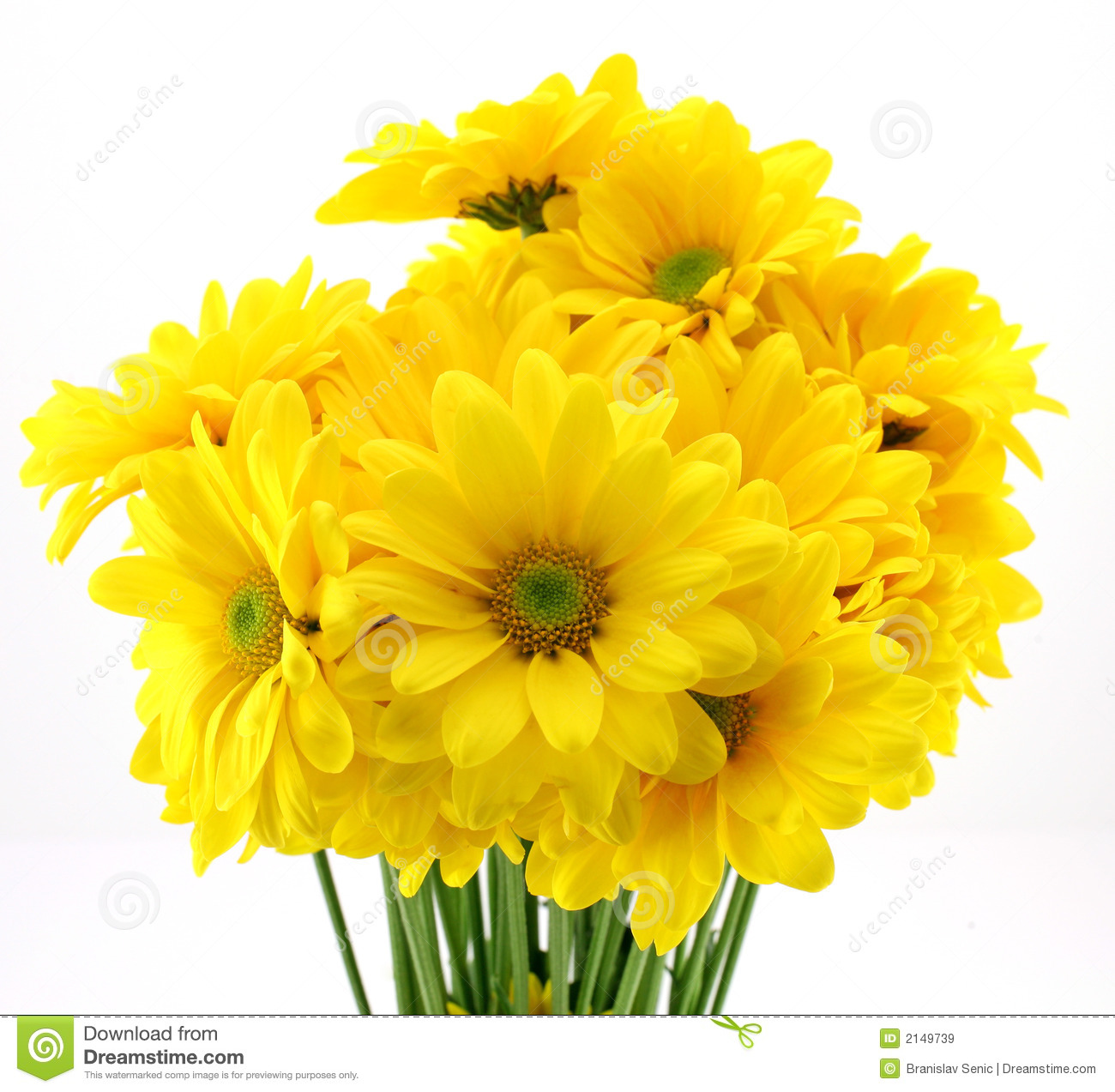 beautiful-yellow-flowers-2149739