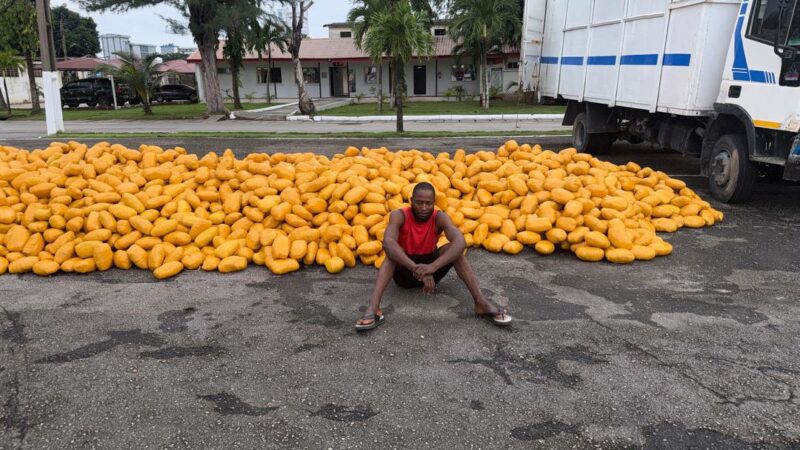 RECOVERED CONSIGNMENT