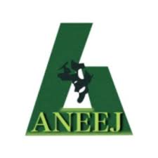 ANEEJ LOGO