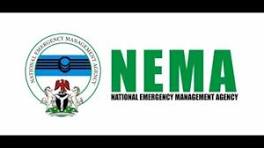 NEMA LOGO